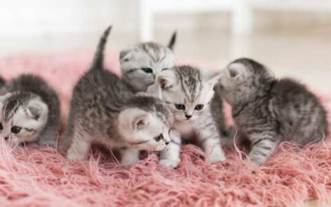 Atrakcje lutego 2026